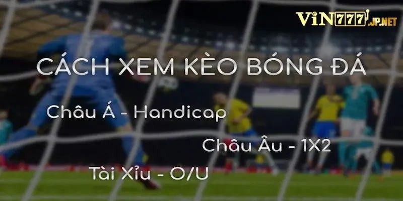 Cách Đọc Kèo Bóng Đá Chi Tiết A-Z Từ Vin777 Đến Tân Thủ